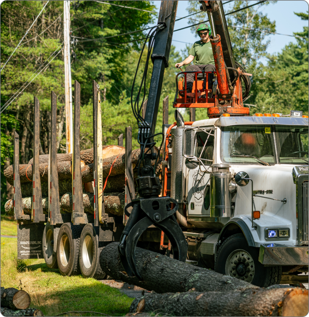 Tree service crew loading cut logs onto a logging truck using a hydraulic crane.