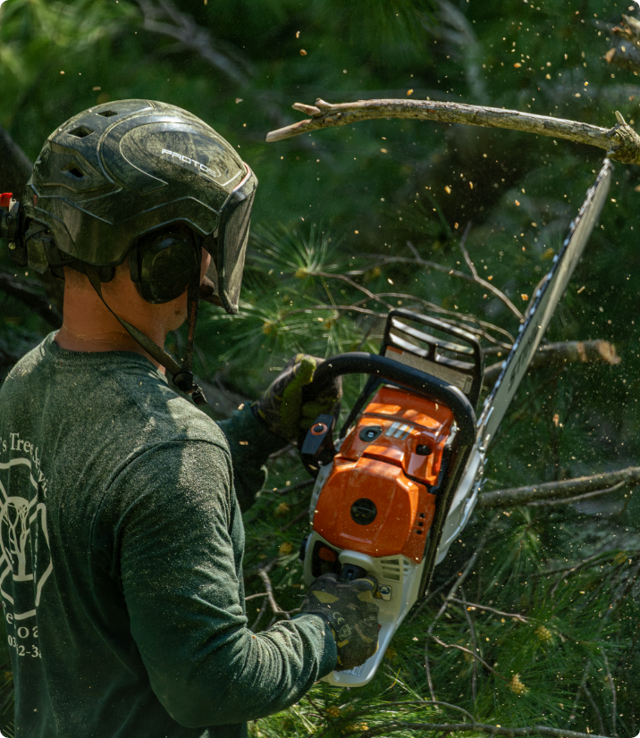 Tree Prunning & Trimming