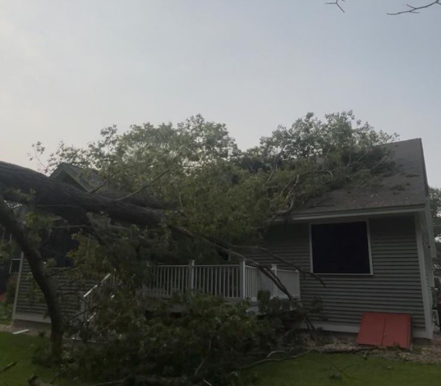 storm cleanup 640 x 560